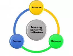 Informatics And Nursing Sensitive Quality Indicators NURS-FXP4040 